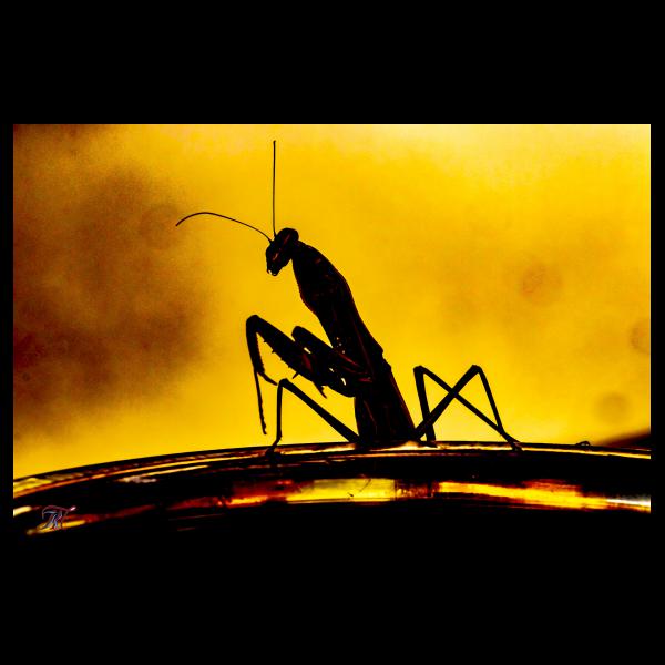 PHOTO84, CLUB, 84 , LUBERON